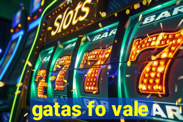 gatas fo vale